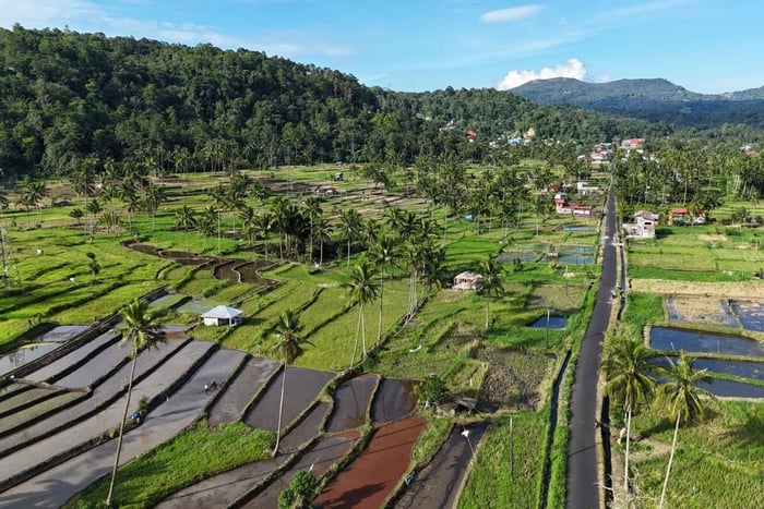 Tomohon: Minahasa-cultuur- en natuurtour met lokale gids