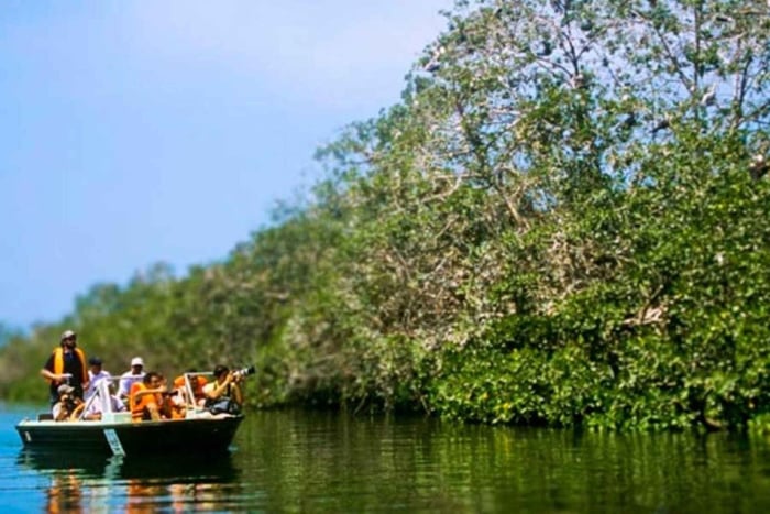 Tumbes: Excursión a los Manglares e Islas de Puerto Pizarro