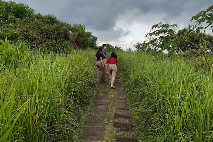 Ubud: Campuhan Ridge Walk, Tegallalang Rice Terrace & More