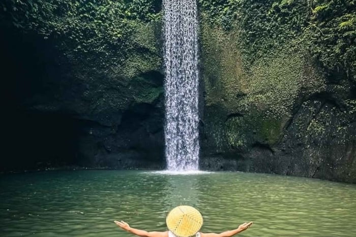 Tour de 1 día por Ubud: cascadas, templo y terraza de arroz