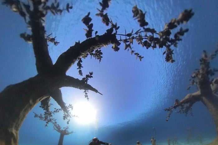 Ayia Napa: Nurkowanie w podwodnym muzeum Musan