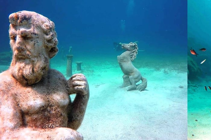 Scopri il mondo delle immersioni subacquee – Tartarughe e sculture sottomarine