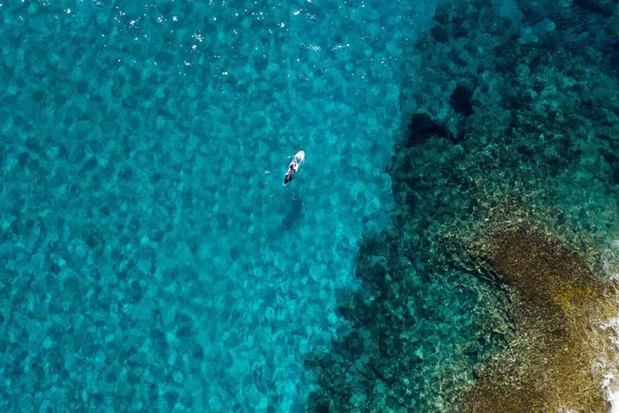 From Paphos/Polis: Akamas National Park by Jeep and Boat