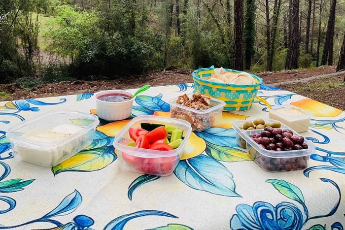 Vanuit Paphos: privé-4x4-safari in het Troödosgebergte met picknick en wijnmakerij