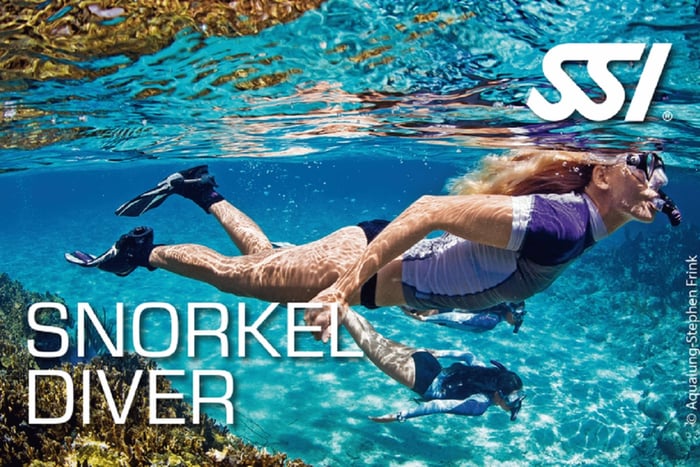 Larnaca: Snorkelling Zenobia Wreck Plus Mini Cruise