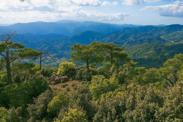Limassol: Beauty, Nature and Charm of Troodos Mountains