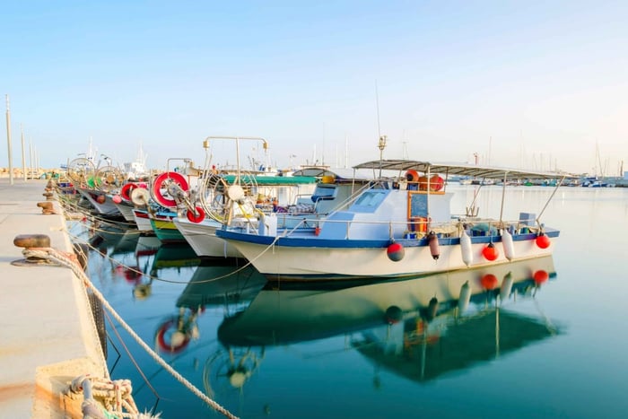 Limassol: Opastettu kävelykierros ja kreikan kielen oppitunti