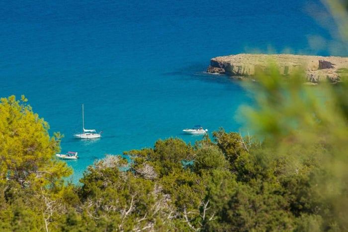 Pafos: Risteily Siniselle laguunille buffetilla ja avoimella baarilla