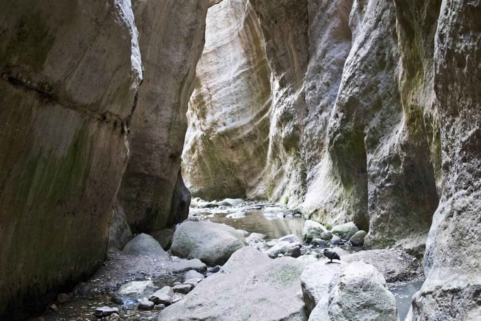 Paphos: Half Day Jeep Tour Akamas Peninsula (Private)