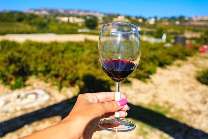 Paphos: Local Wineries Tour with Wine Tastings