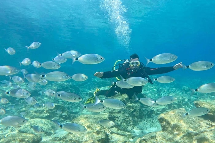 Scuba diving-private and individual– No certification needed