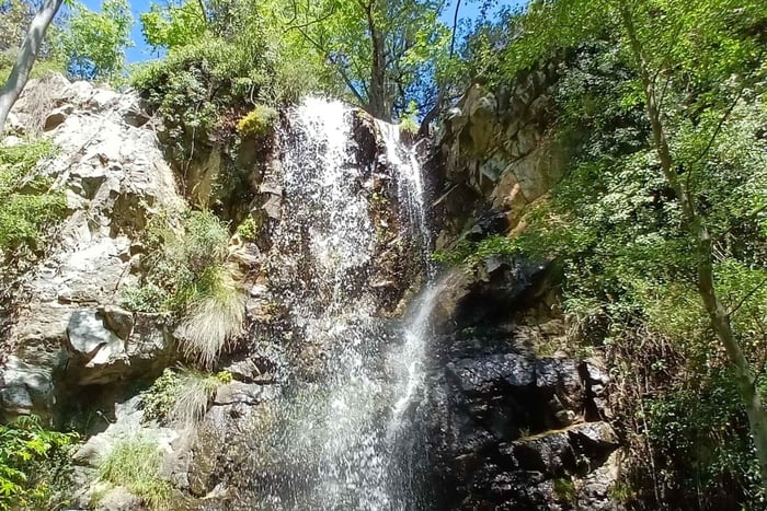 Troodos-vuoret: Metsävaellus ja vesiputousretki