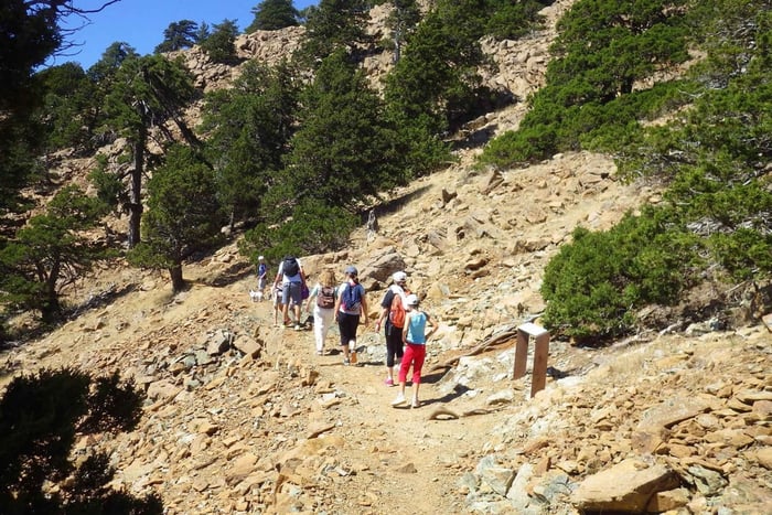 Troodos walking trip