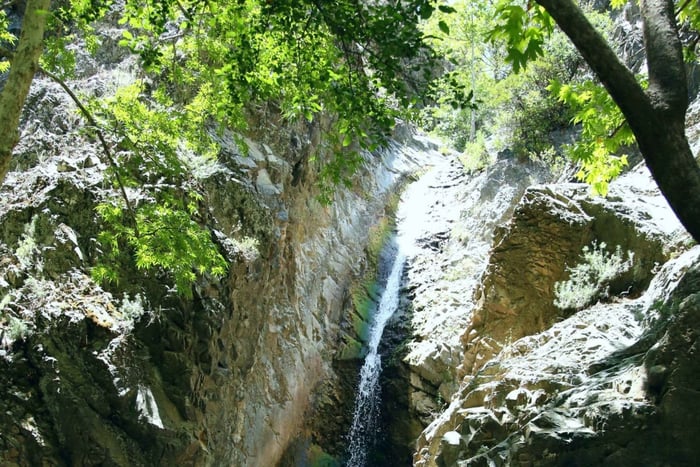Pafos: piękno, przyroda i urok gór Troodos