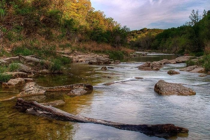 Dinosaur Valley State Park Full-Day Adventure from Dallas