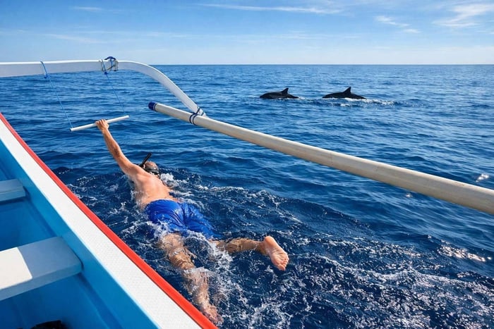 Bali/Lovina: Guidad delfinsafari och snorkling i soluppgången