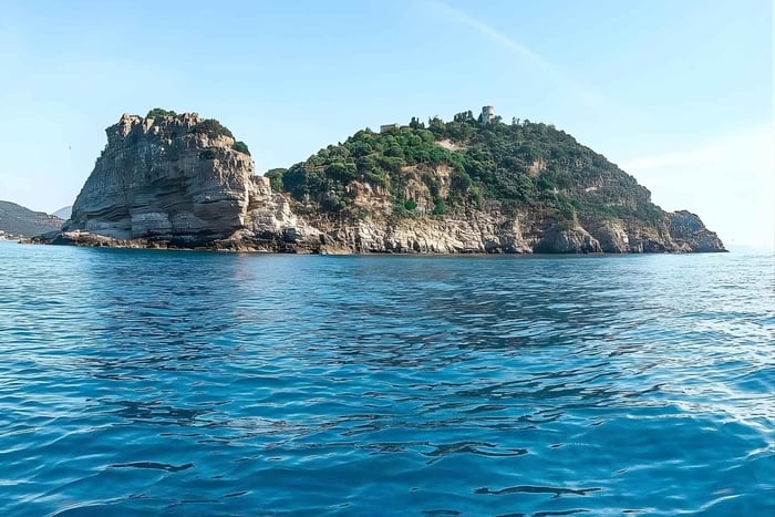 Excursion en bateau : île Gallinara, Alassio, dauphins, détente
