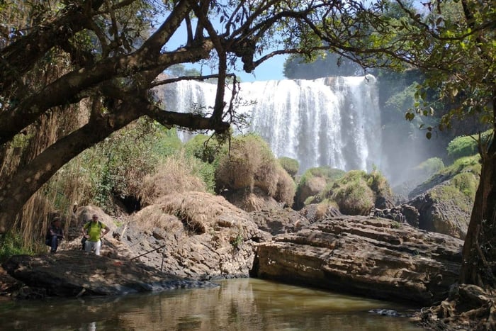 Dalat: Tur til tre fosser, kaffegård og silkeproduksjon med lokal guide