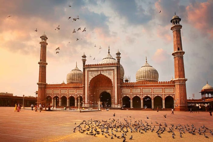 Delhi: Privétour van een hele of halve dag door Oud en Nieuw Delhi