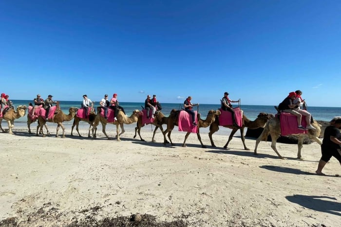 Djerba: paseo en camello y a caballo por la laguna azul: 2 h 30 min
