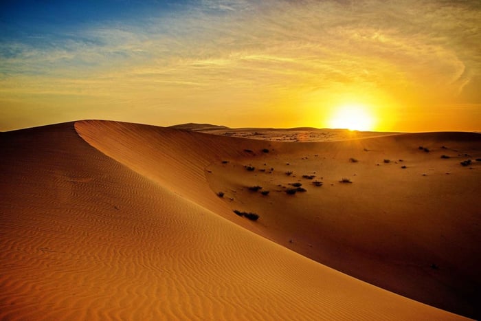 Dubai: Jeep safari bij zonsopgang in de woestijn met wilde dieren