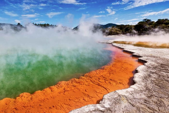 Ex Hamilton: Triple Deal WAI-O-TAPU, Redwood & Blue Springs