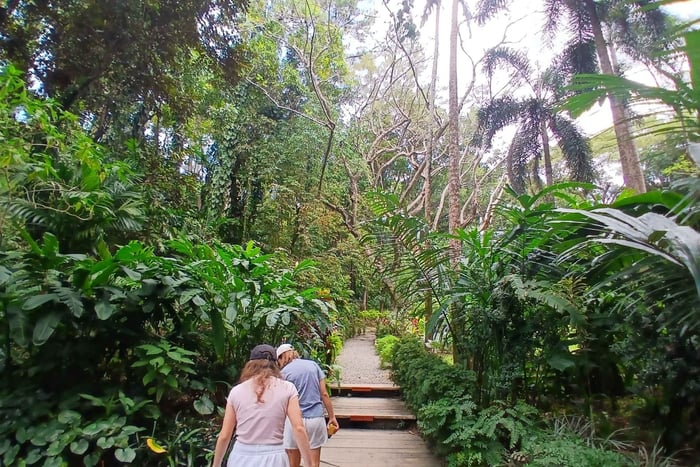 FIDJI – NADI : visite du jardin du Géant endormi et des sources thermales