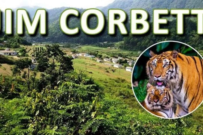 From Delhi - 3-Day Wildlife Trip to Jim Corbett National Park