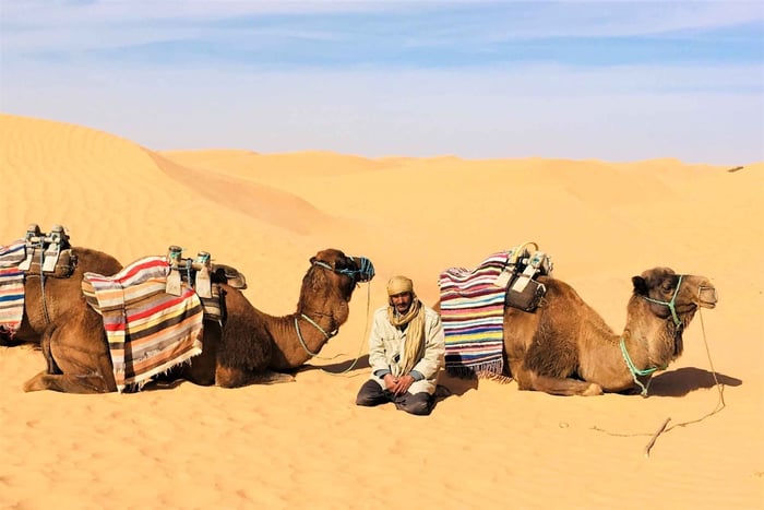 Von Djerba aus: Ganztagestour Ksar Ghilane, Sahara und Oasen