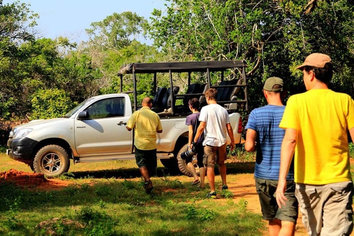Da Ella: safari a Udawalawa e rientro a Tangalle/Mirissa/Galle