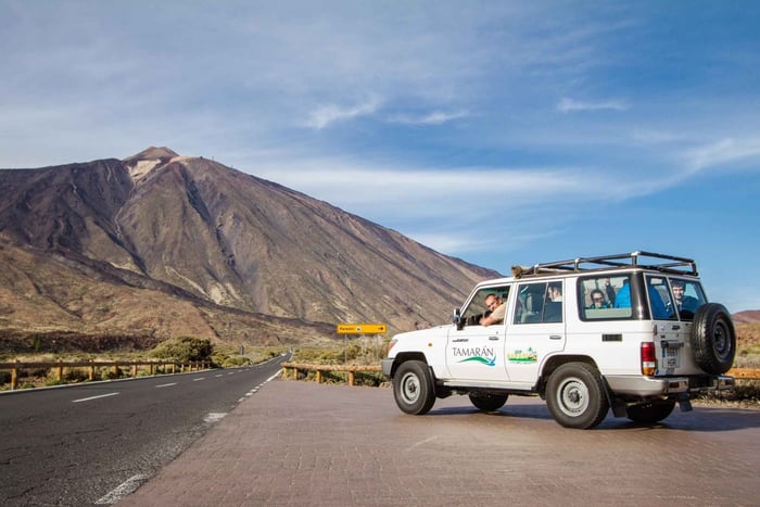 Desde Playa de las Américas: Safari de jipe de dia inteiro no Teide
