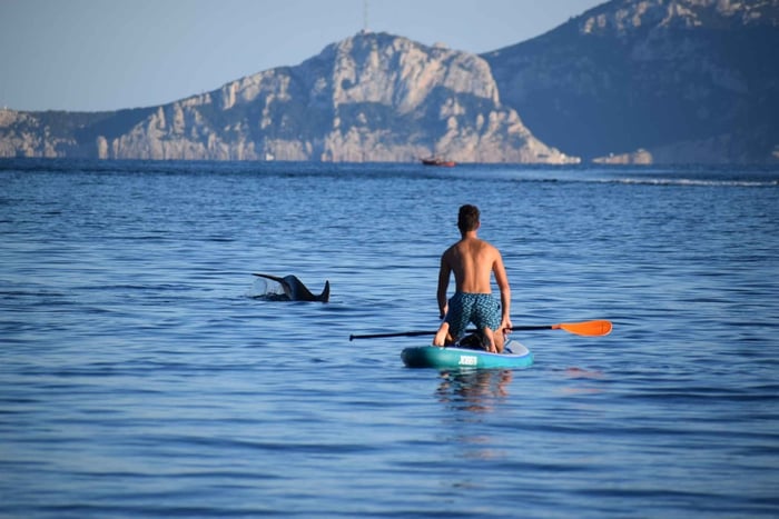 Golfo de Aranci: Passeio de SUP Ético – Golfinhos, Snorkel e Fotos