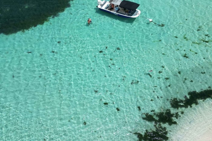 Guadeloupe: Magisk halvdagsutflykt med båt: mangrove, ö, snorkling.