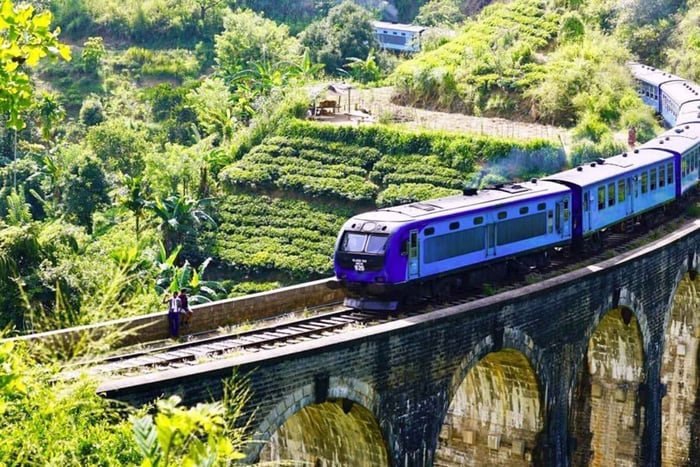 Hikkaduwa/Galle/Mirissa/Hiriketiya/Tangalle : excursion d'une journée à ELLA