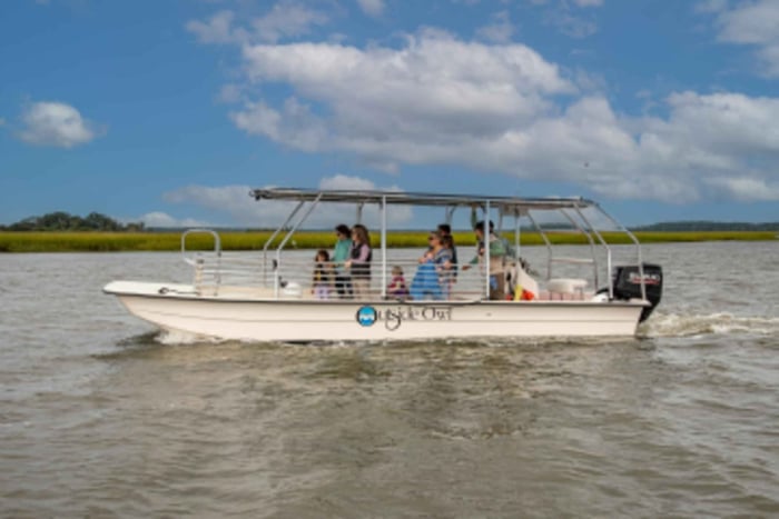 Hilton Head: Dolphin Eco Tour med naturalistisk guide