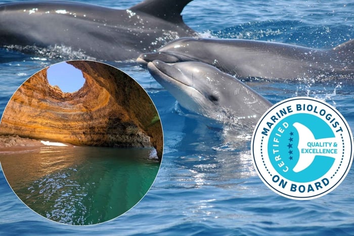Lagos: tour combinado de delfines y Benagil con biólogo marino