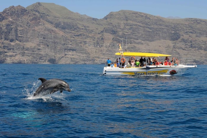 Los Gigantes: Crociera per avvistare le balene e i delfini con sosta per nuotare