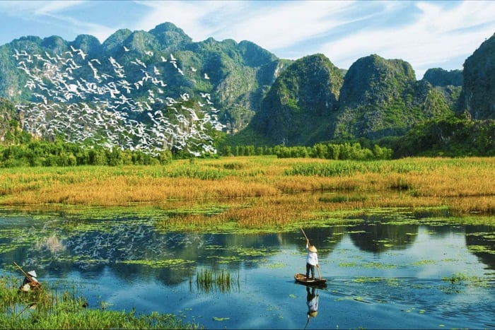 Ninh Binh: Tur i åben jeep til Van Long, Bai Dinh og Hoa Lu