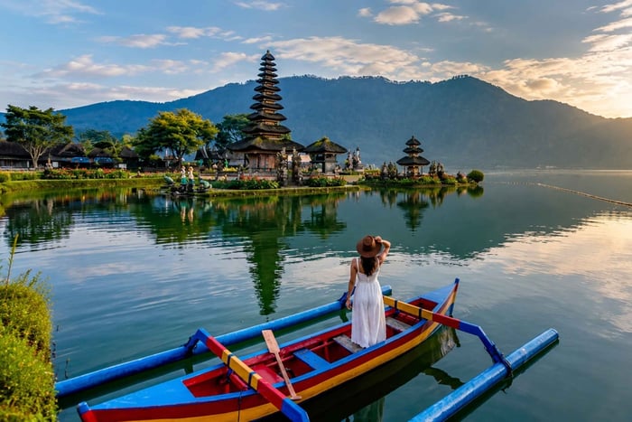 Bali Norte: Delfín, Templo de Ulun Danu y Cascada de Banyumala