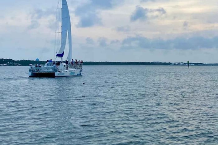 Orange Beach: crucero con delfines y vela a bordo de un catamarán de 52 pies.