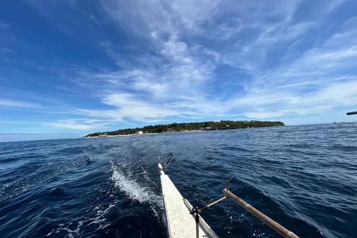 Pamilacan island: Dolphins, snorkel, lunch and walking tour