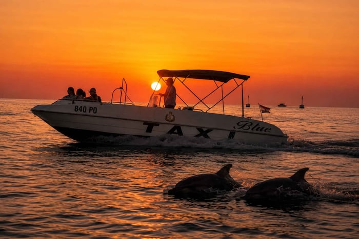 Poreč: dolfijnspotten per speedboot