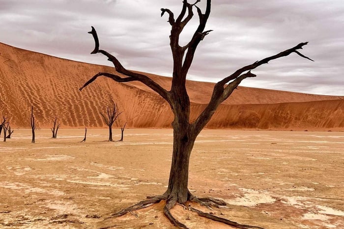 Sossusvlei: Viagem de um dia