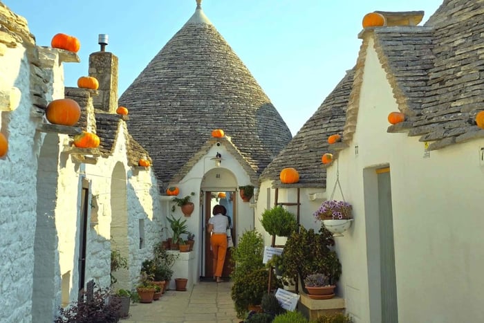 Tour di Alberobello, Locorotondo e Ostuni: guida locale e pranzo