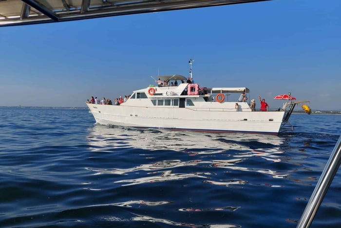 UMAG: pływanie i panorama / obserwowanie delfinów i powitalny drink