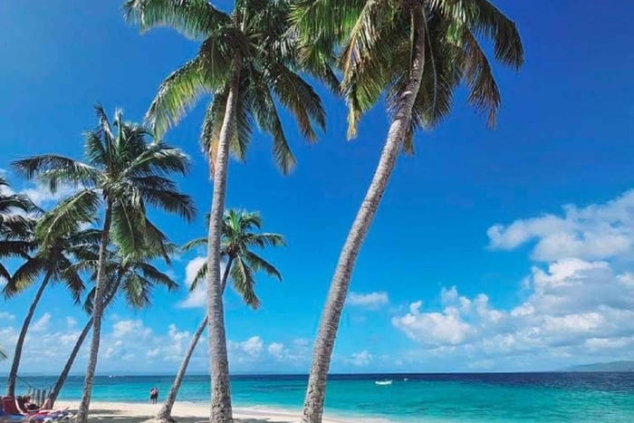 Amber Cove og Taino Bay: Privat VIP-ferie med aper og strand