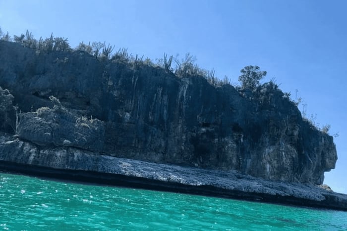 Experiencia glamping Bahía de las águilas desde Santo Domingo