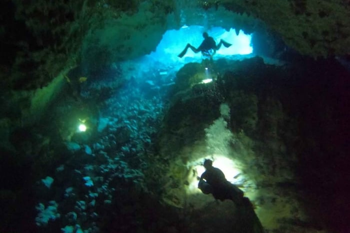 Bayahibe - Plongée sous-marine dans les cénotes - Godive Bayahibe