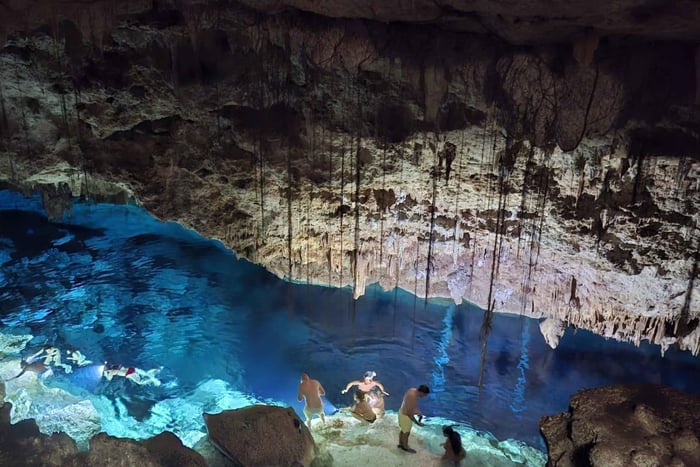 Bayahibe: National Park Jungle Walk & Snorkeling in Cenotes