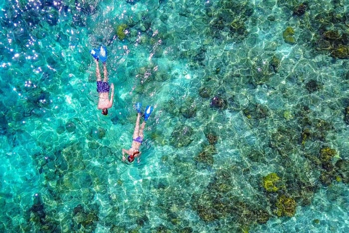 Bayahibe: Snorkeltour - Zee, Cotubanama park & Cenoten